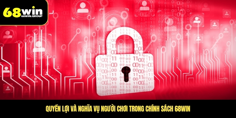 Quyền lợi và nghĩa vụ người chơi trong chính sách 68WIN