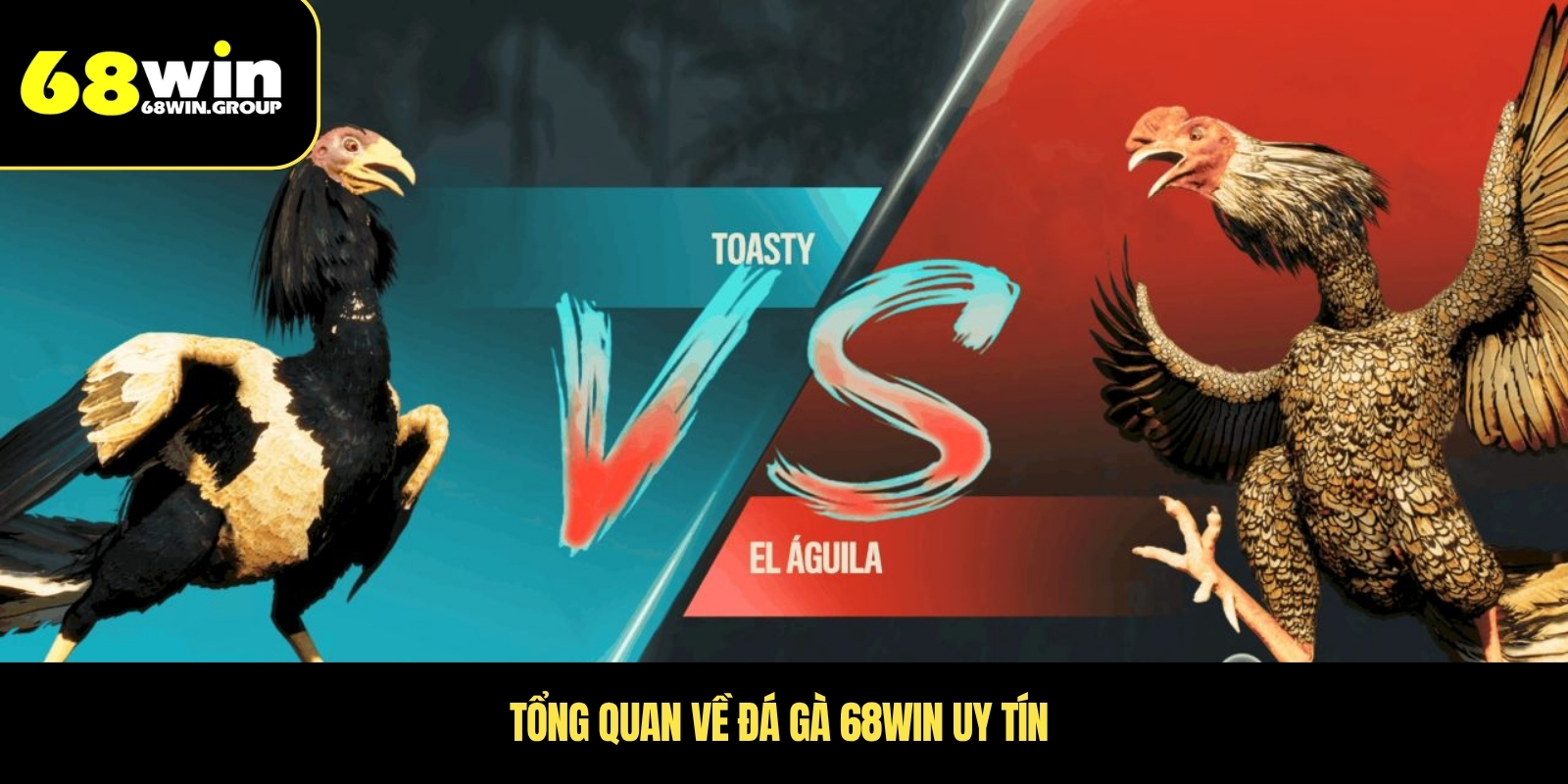 Tổng quan về đá gà 68WIN uy tín 
